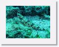 02-UnionIsland - 26